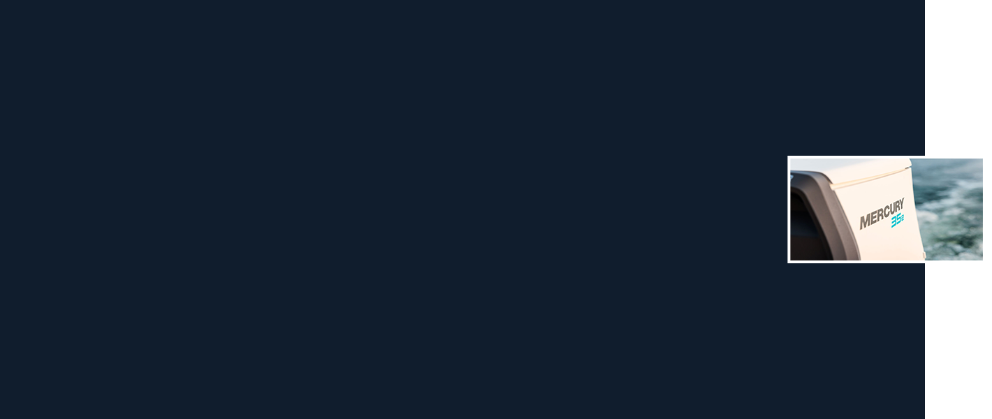 Elektrische buitenboordmotoren